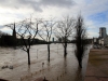 Hochwasser in Frankfurt