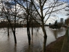 Hochwasser in Frankfurt