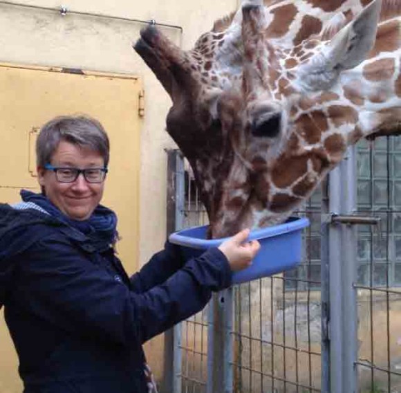 Hinter den Kulissen des Frankfurter Zoos: : Zwei Stunden helfen im Giraffenrevier.